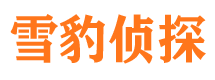 云浮市私家侦探